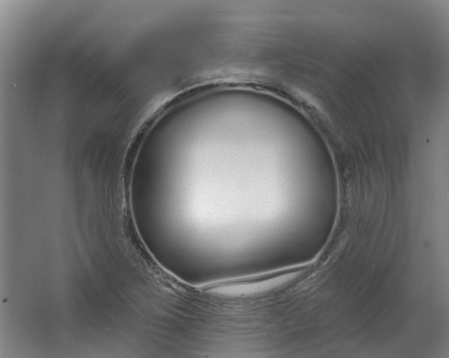 X0000062861267200601271521