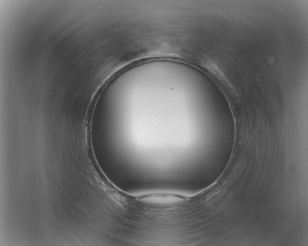 X0000062861268200601271521