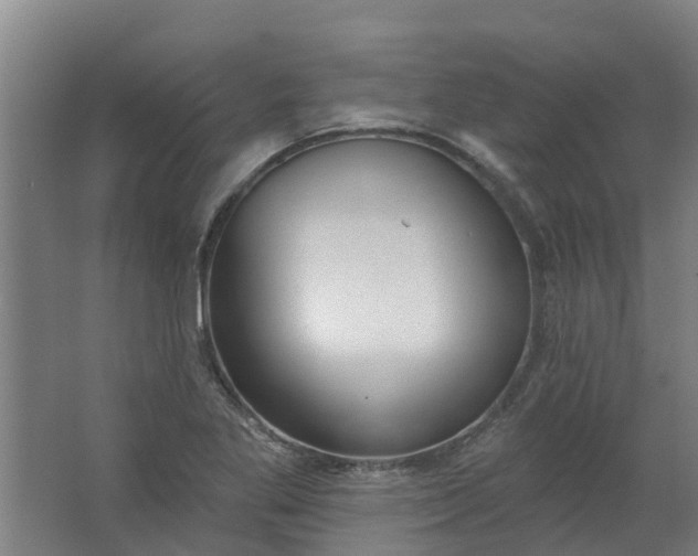 X0000062861269200601271521