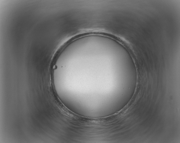 X0000062861271200601271521