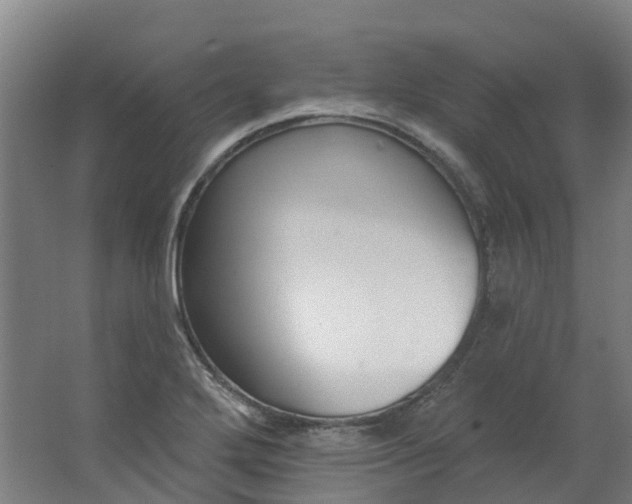 X0000062861272200601271521