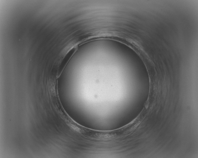 X0000062861273200601271520