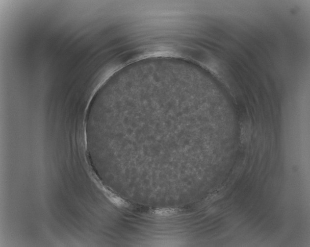 X0000062861274200601271520