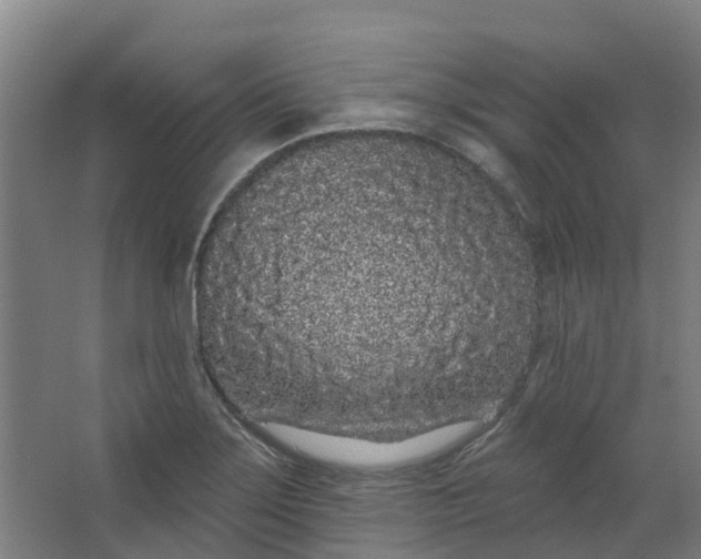 X0000062861275200601271520