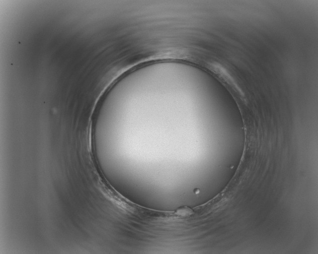 X0000062861276200601271520