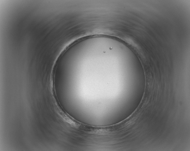 X0000062861280200601271520