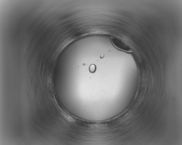 X0000062861281200601271520