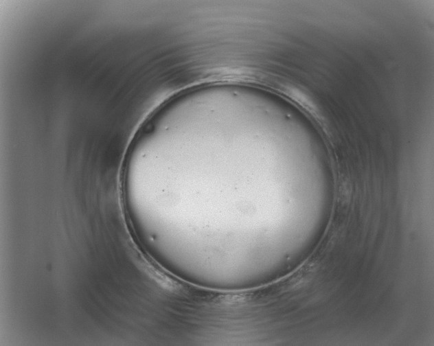 X0000062861283200601271520