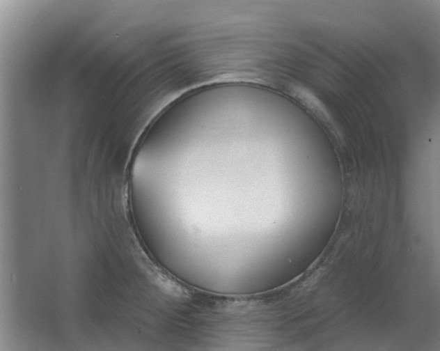 X0000062861284200601271520