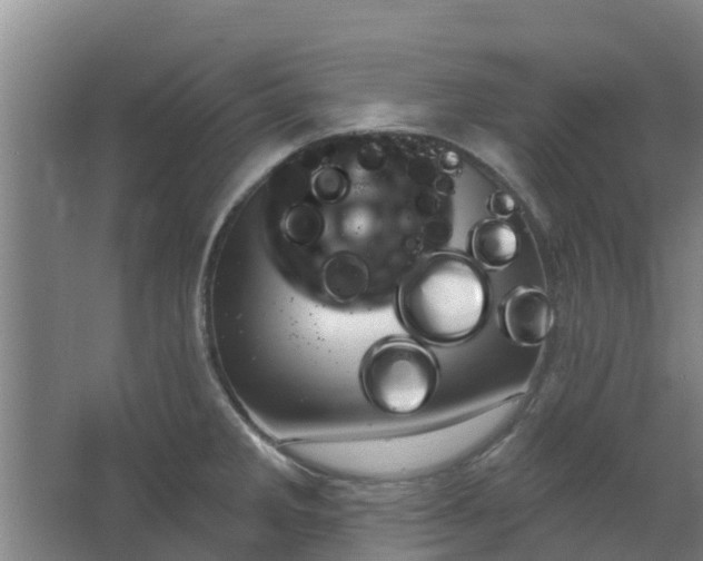 X0000062861285200601271520