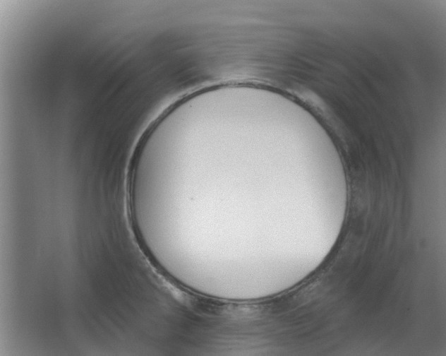 X0000062861286200601271520