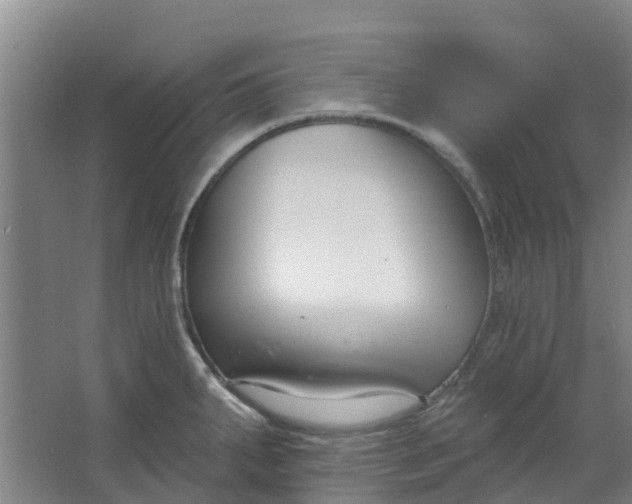 X0000062861287200601271520