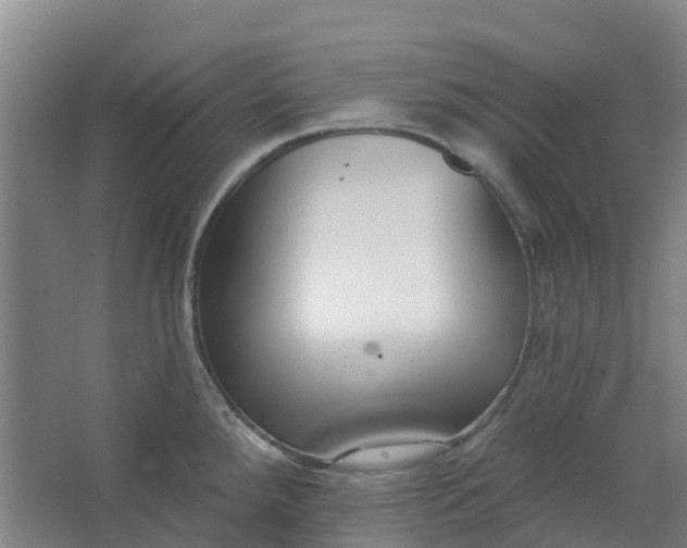 X0000062861288200601271520