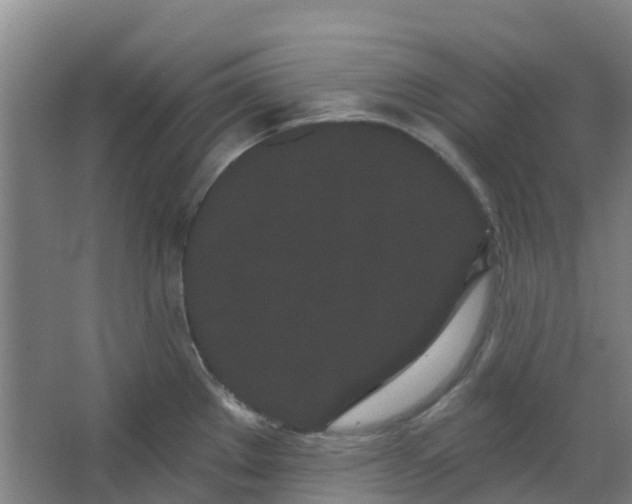 X0000062861289200601271520