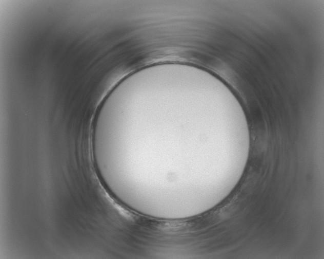 X0000062861290200601271520