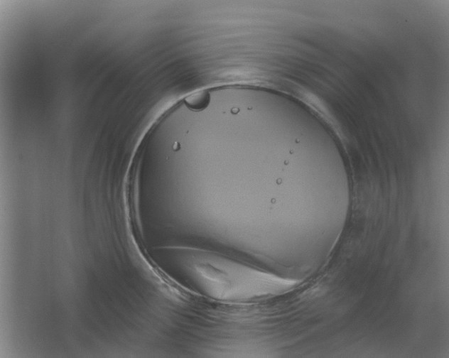 X0000062861291200601271520