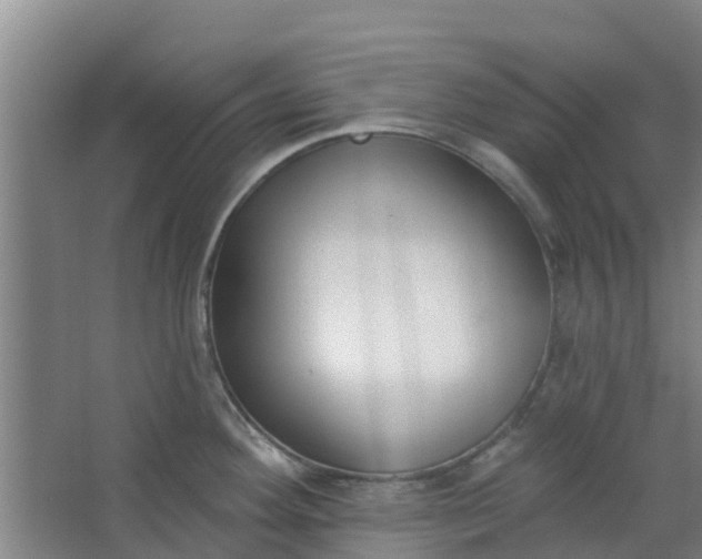 X0000062861292200601271520