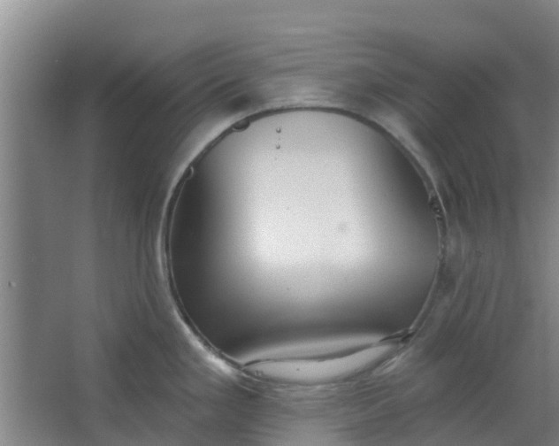 X0000062861293200601271520