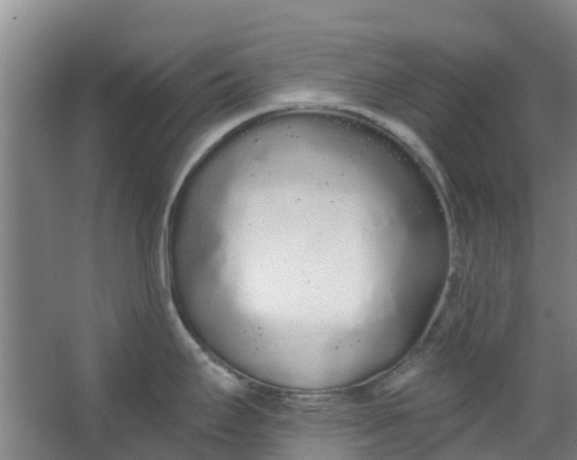 X0000062861295200601271520