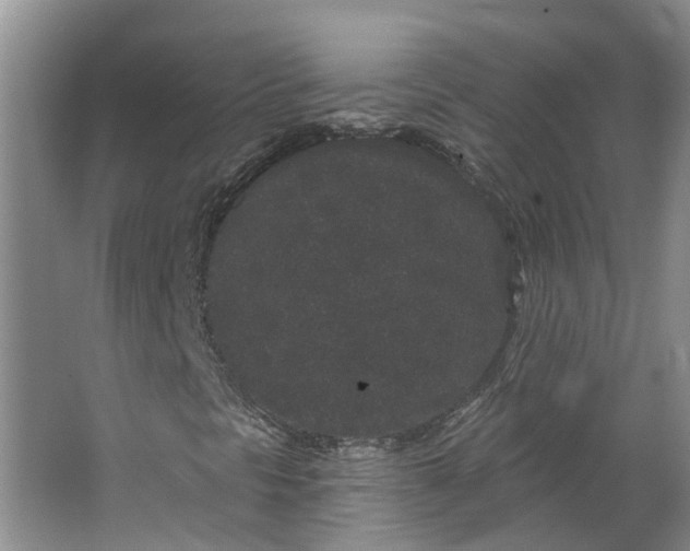 X0000062861297200601271519