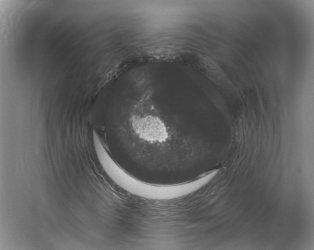 X0000062861298200601271519