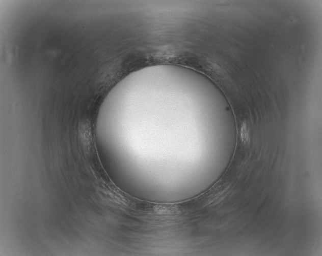 X0000062861299200601271519