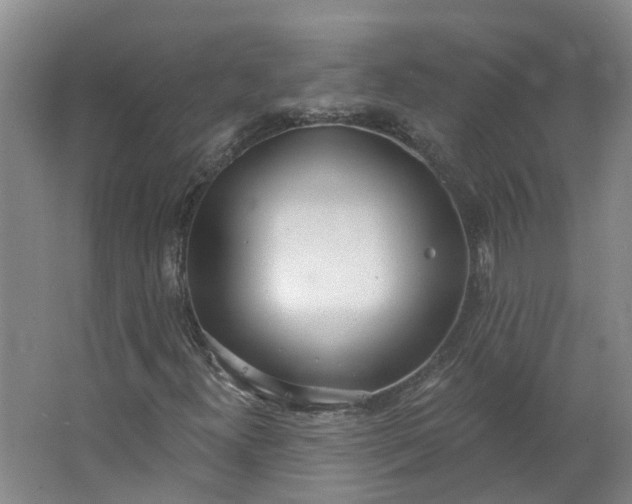 X0000062861300200601271519