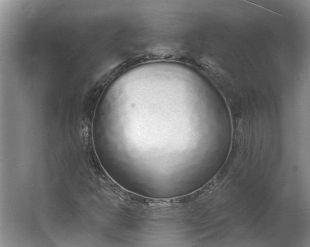 X0000062861302200601271519