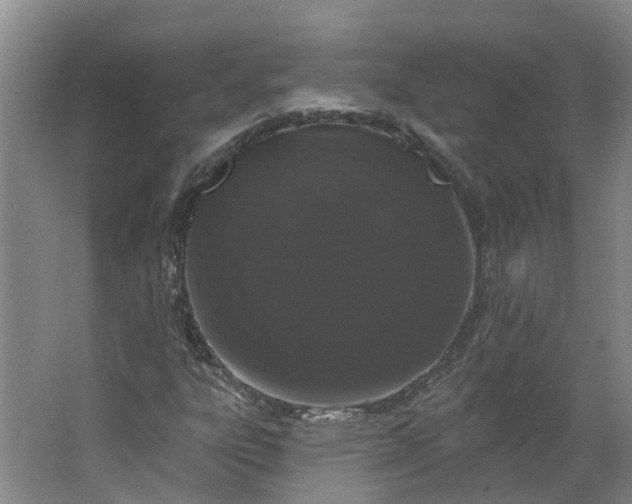 X0000062861303200601271519