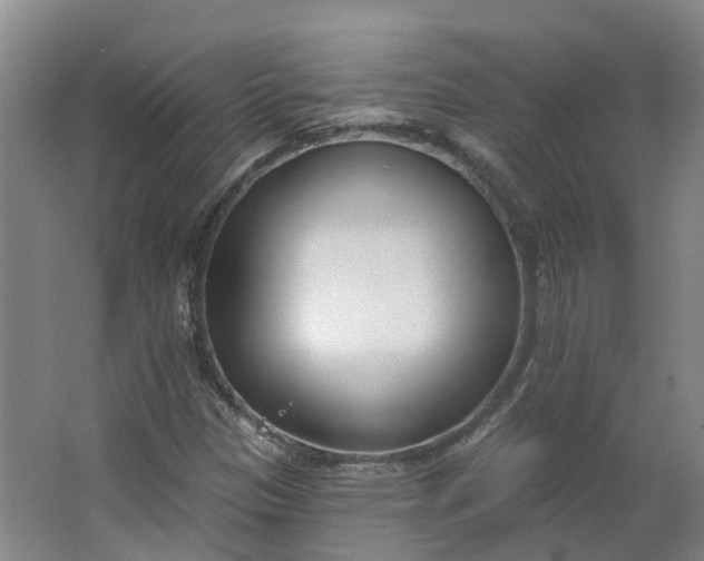 X0000062861305200601271519