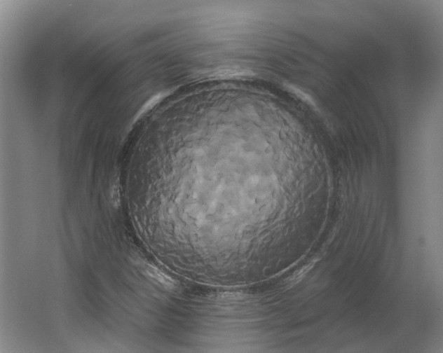 X0000062861306200601271519