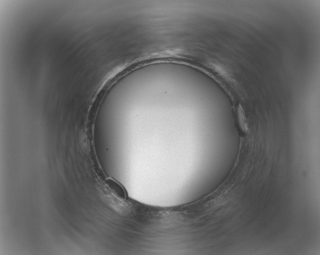 X0000062861308200601271519