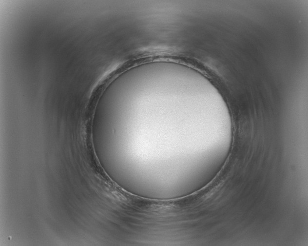 X0000062861309200601271520