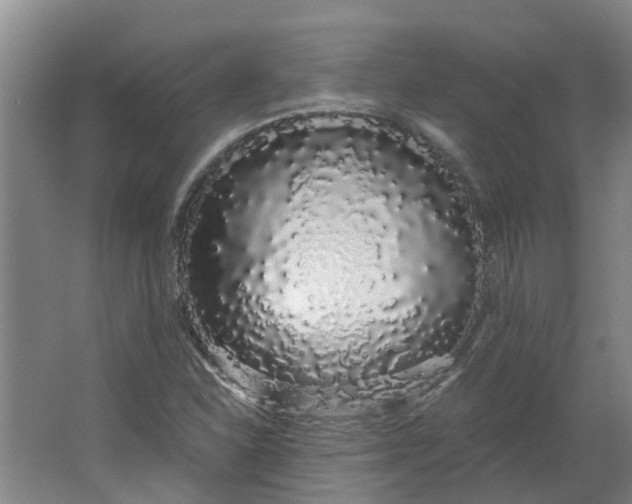 X0000062861310200601271520