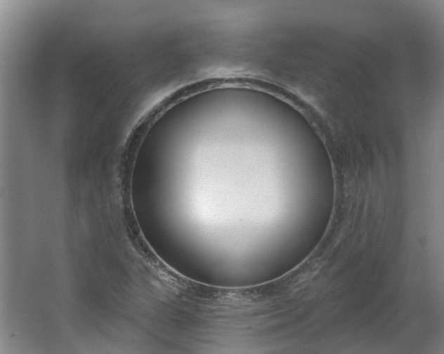 X0000062861311200601271520