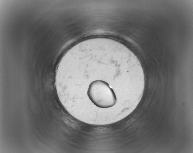 X0000062861314200601271520