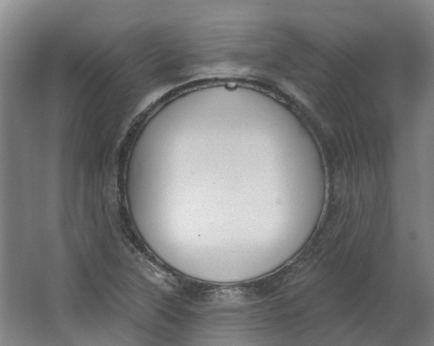 X0000062861315200601271520