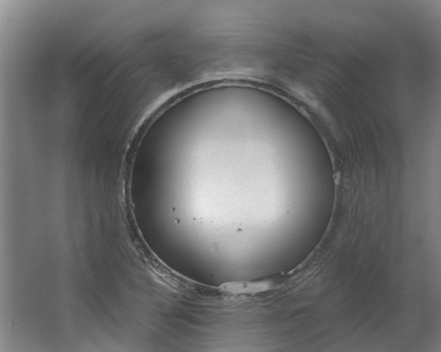 X0000062861316200601271520