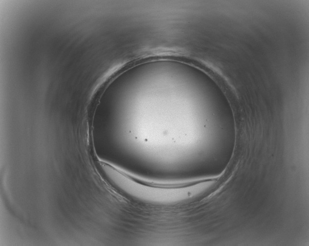 X0000062861317200601271520