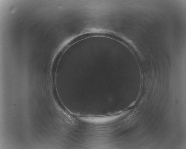 X0000062861319200601271520