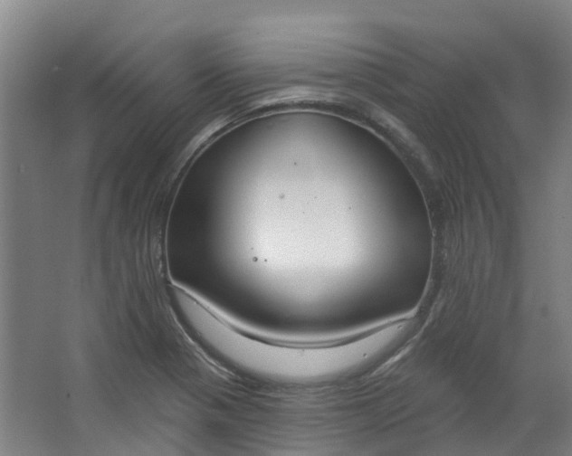 X0000062861321200601271520