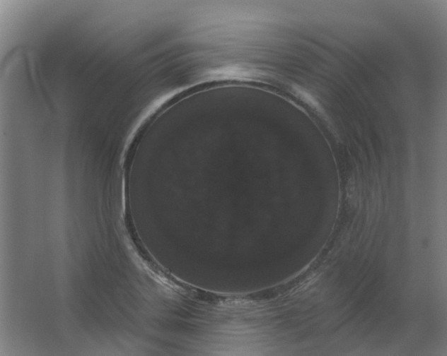 X0000062861323200601271520