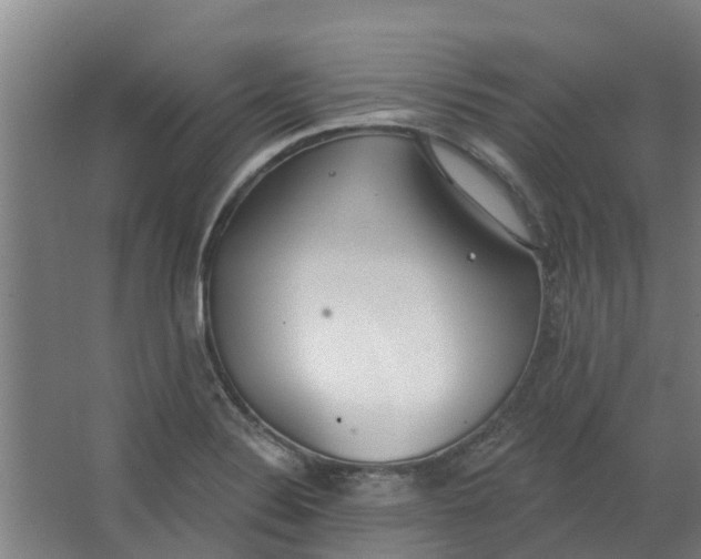 X0000062861324200601271520