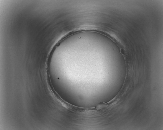 X0000062861325200601271520