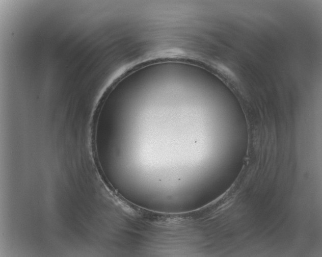 X0000062861326200601271520