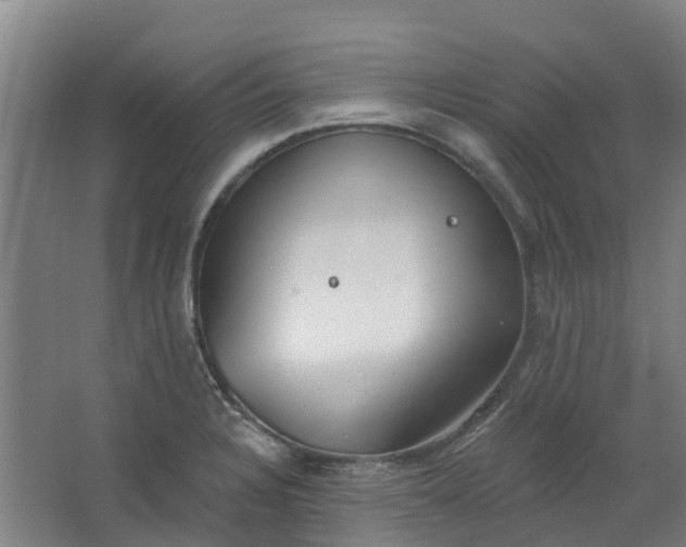 X0000062861328200601271520