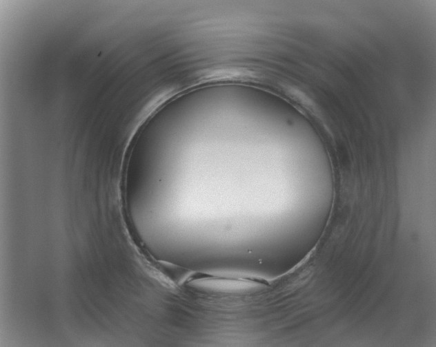 X0000062861330200601271520