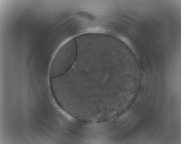 X0000062861331200601271520