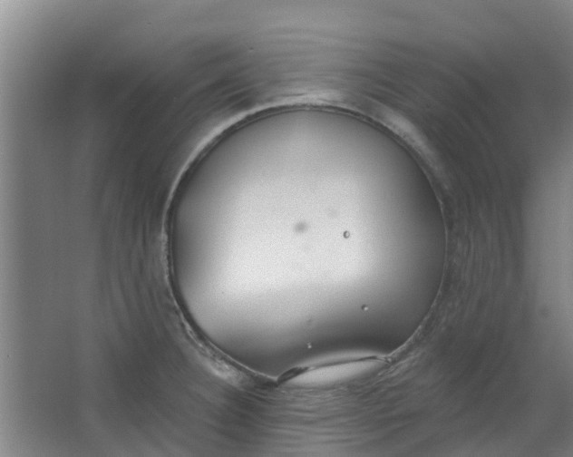 X0000062861332200601271520