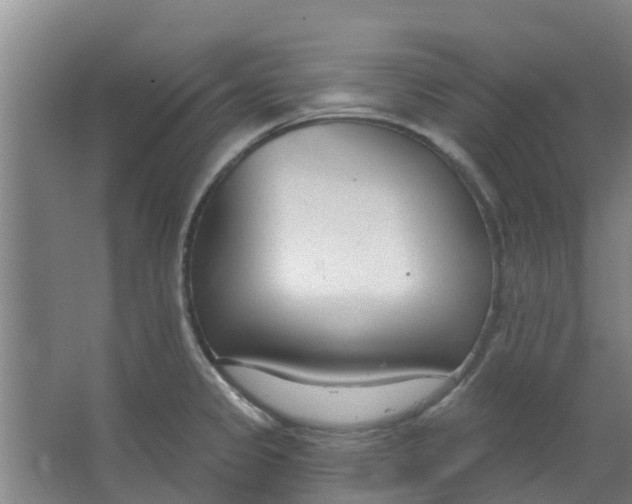 X0000062861333200601271520